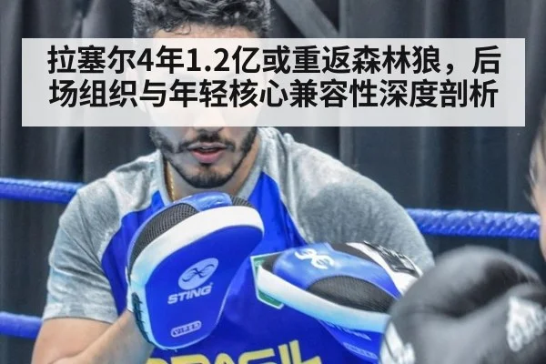 拉塞尔4年1.2亿或重返森林狼，后场组织与年轻核心兼容性深度剖析