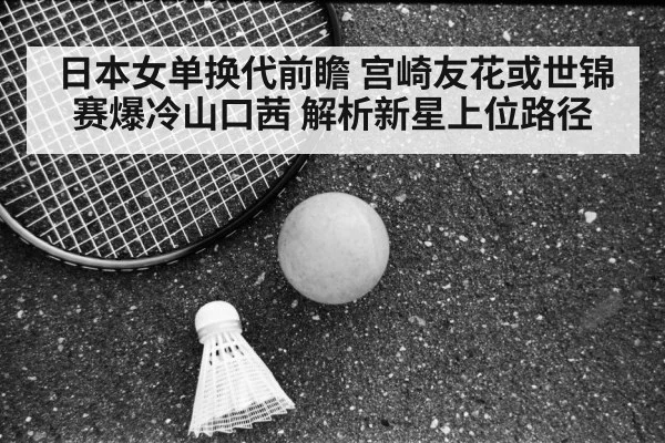 badminton match rivalry
