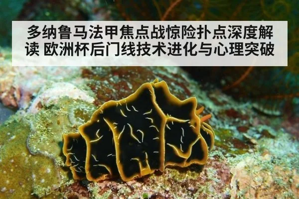 多纳鲁马法甲焦点战惊险扑点深度解读 欧洲杯后门线技术进化与心理突破