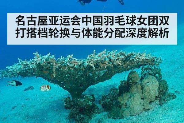 名古屋亚运会中国羽毛球女团双打搭档轮换与体能分配深度解析