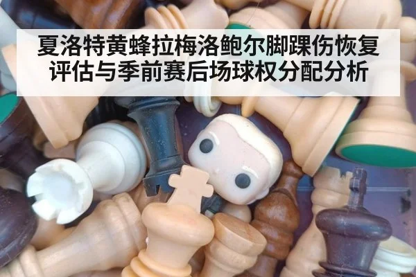 夏洛特黄蜂拉梅洛鲍尔脚踝伤恢复评估与季前赛后场球权分配分析