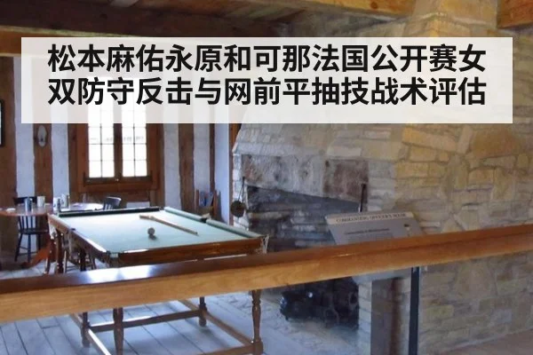 松本麻佑永原和可那法国公开赛女双防守反击与网前平抽技战术评估